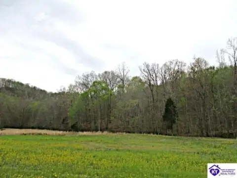 33.89 Acres of Wooded Land