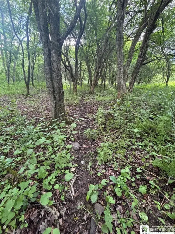 Picture 35
