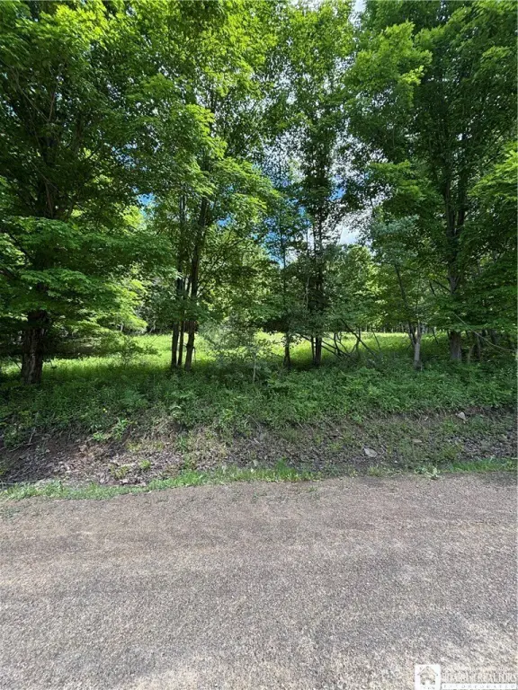 Picture 43