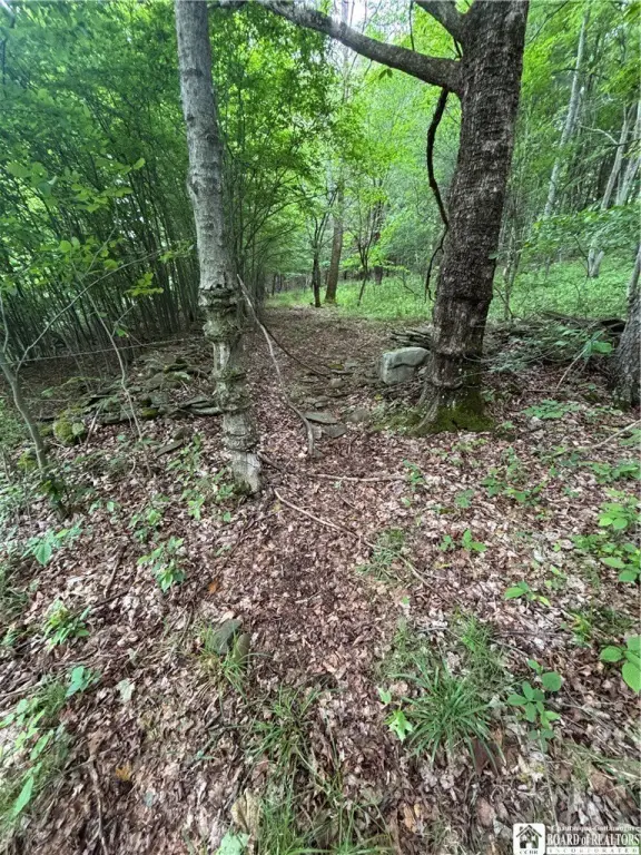 Picture 25