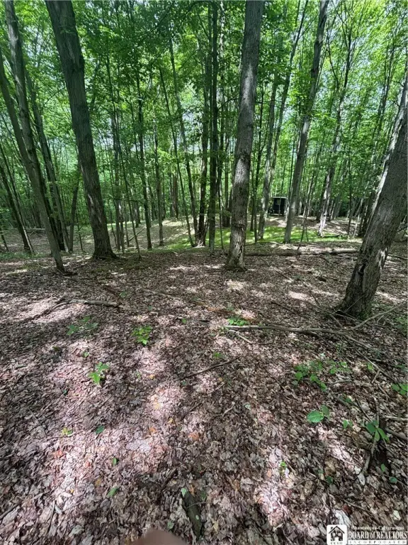 Picture 29