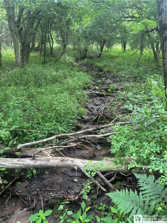 Picture 36
