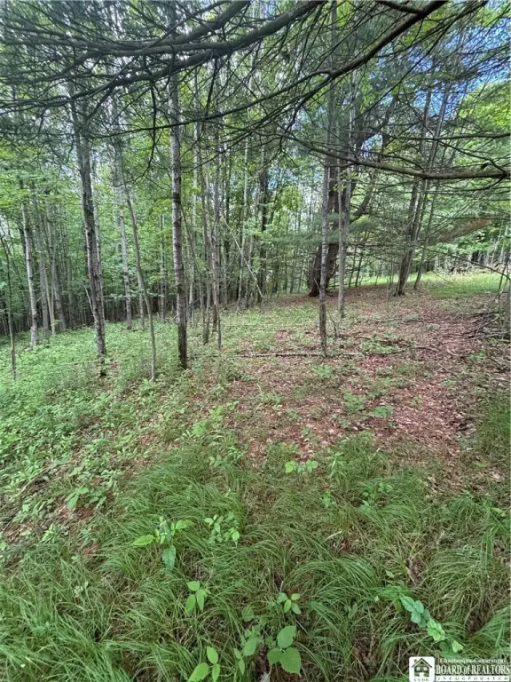 Picture 24