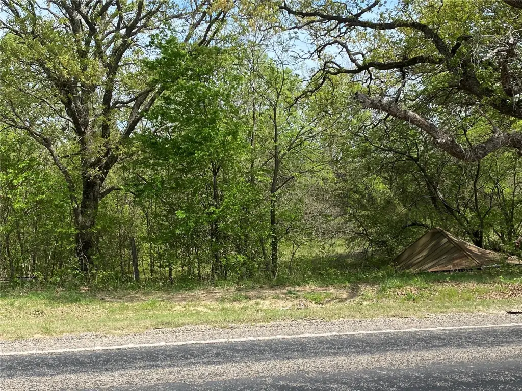 Picture 10