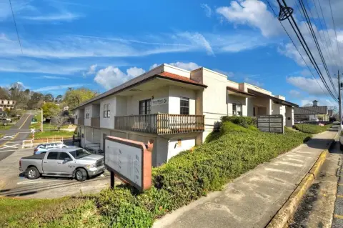 Blue Ridge Commercial Opportunity