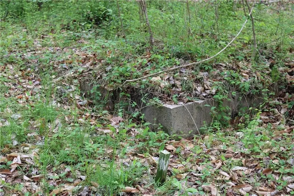 Picture 43