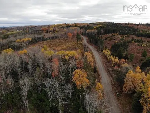 Land Along Salmon Brook
