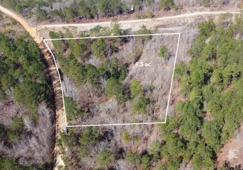 Wallace, SC Vacant Land