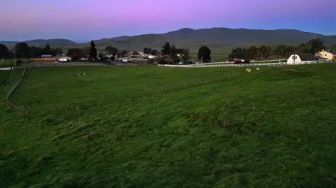 Land in Appaloosa Acres