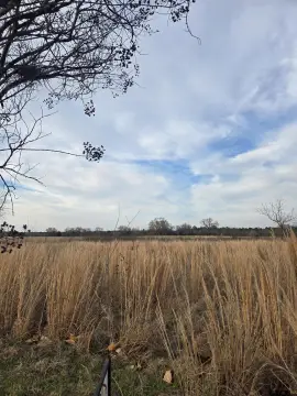 Residential Land in Winnsboro, TX