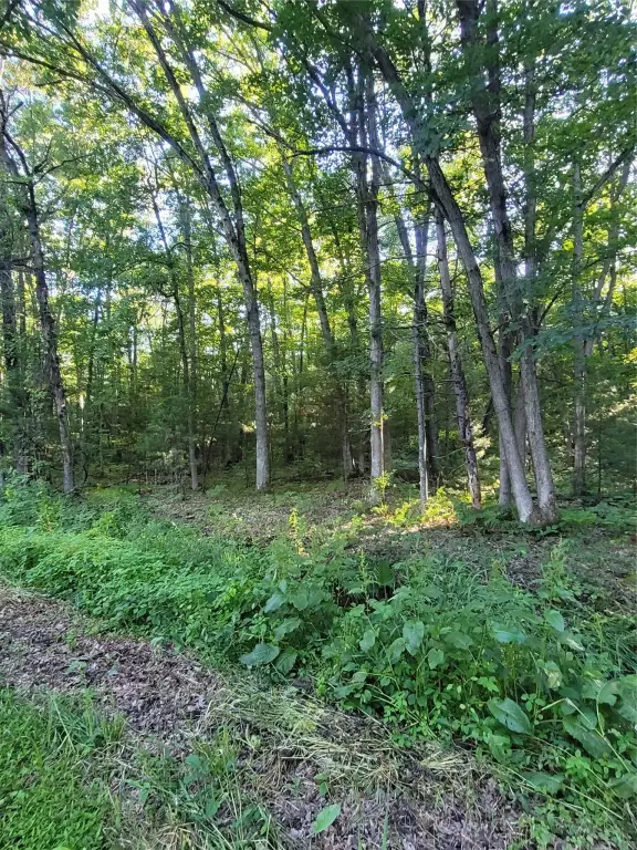 Picture 3