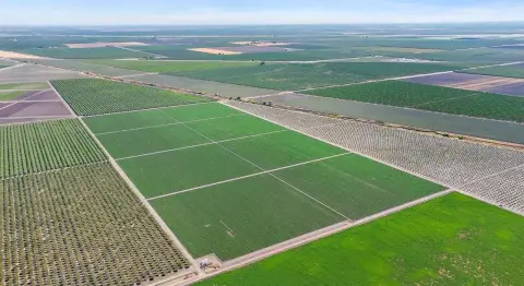 40 Acre Pistachio Orchard