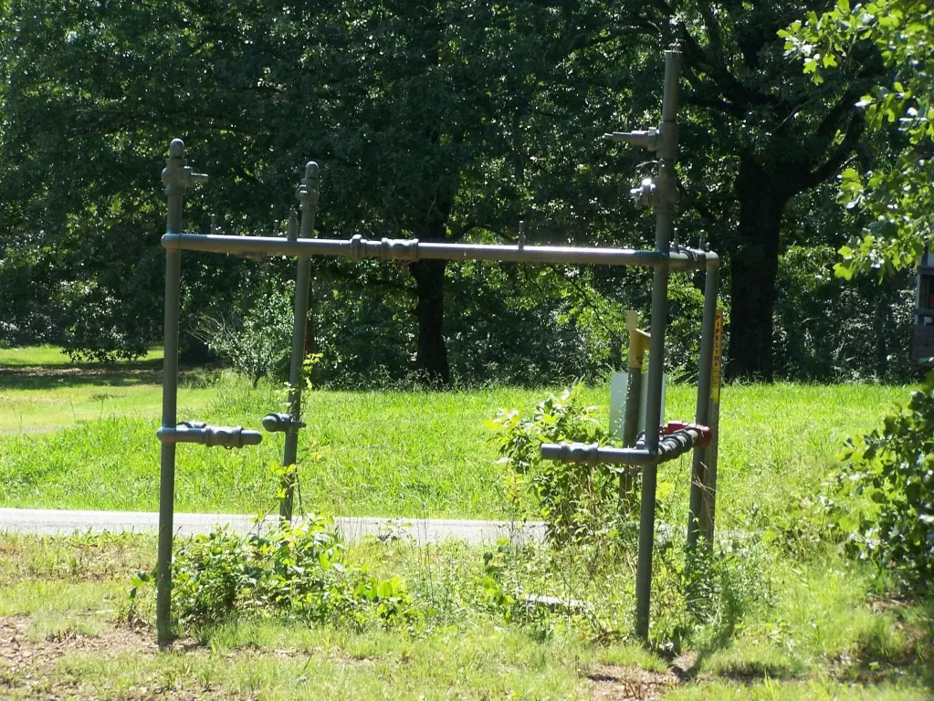 Picture 5