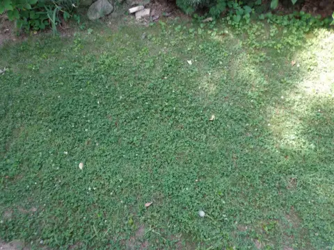 Commercial Land on N Coliseum