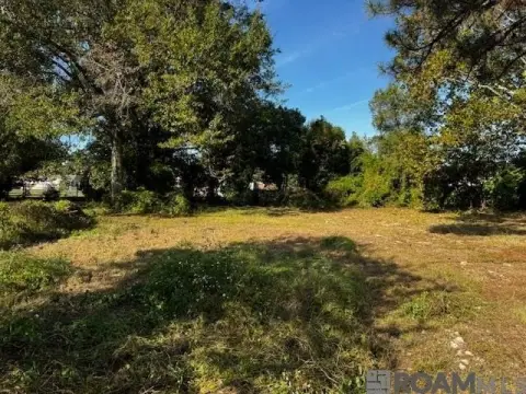 Baton Rouge Commercial Land Available