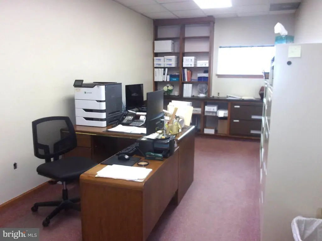 Picture 12