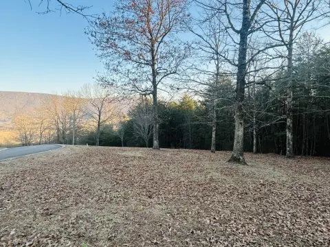 Scenic Homesite in River View Estates