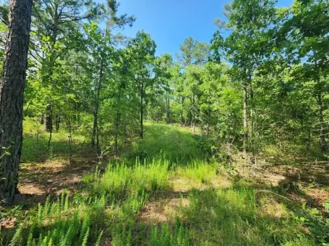 Wister OK Vacant Wooded Land