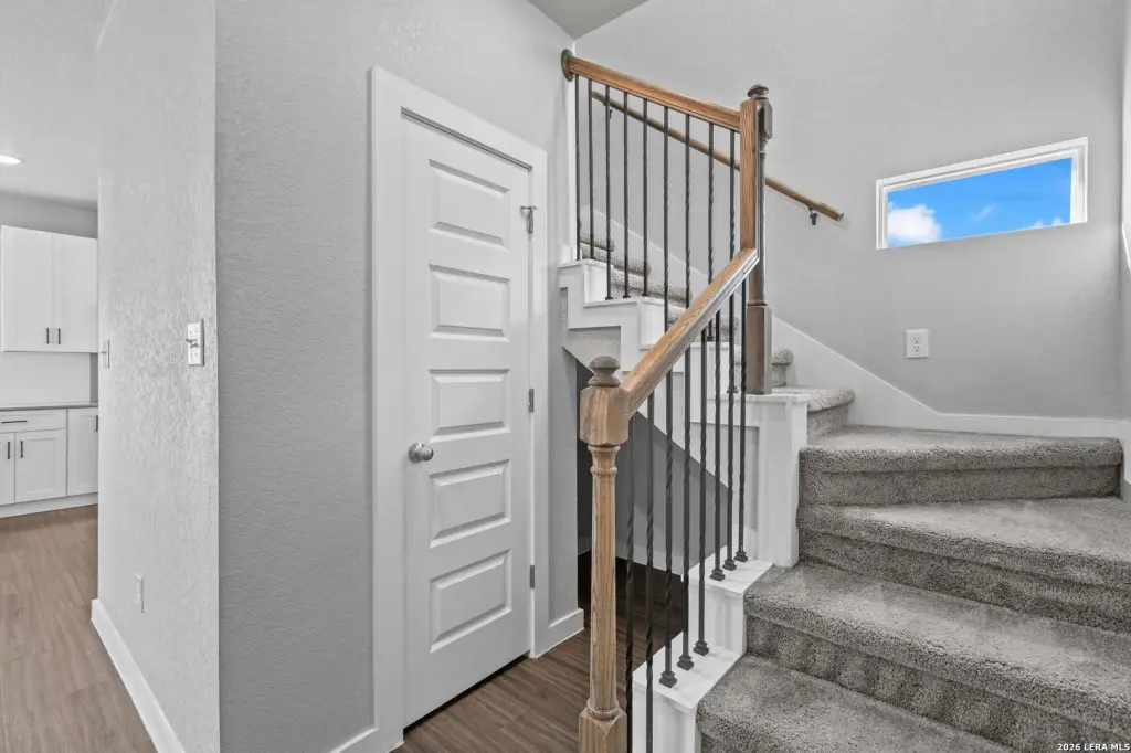 Picture 19