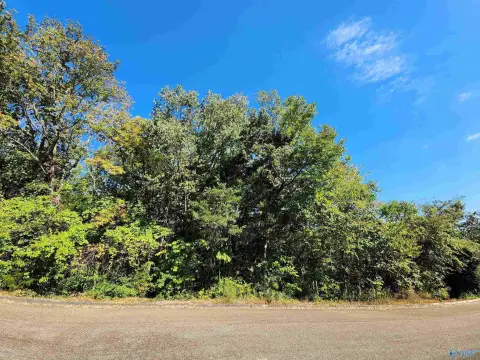 Residential Lot in Huntsville, AL