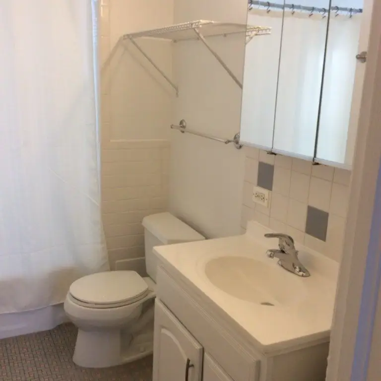 Picture 20
