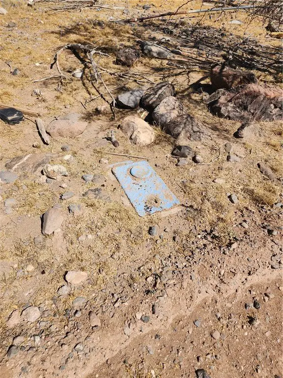 Picture 5