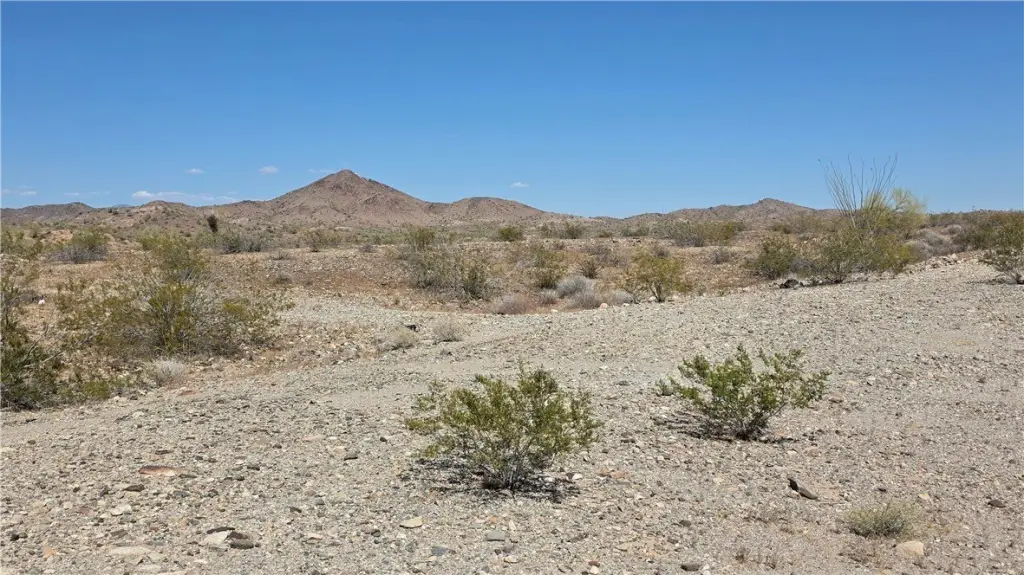 Picture 43