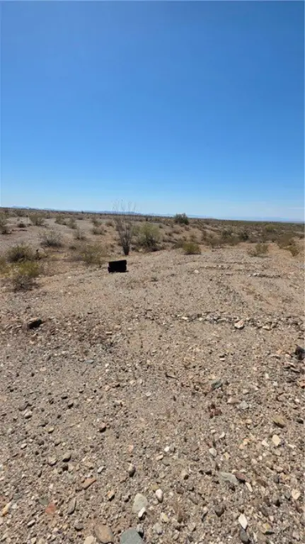 Picture 46