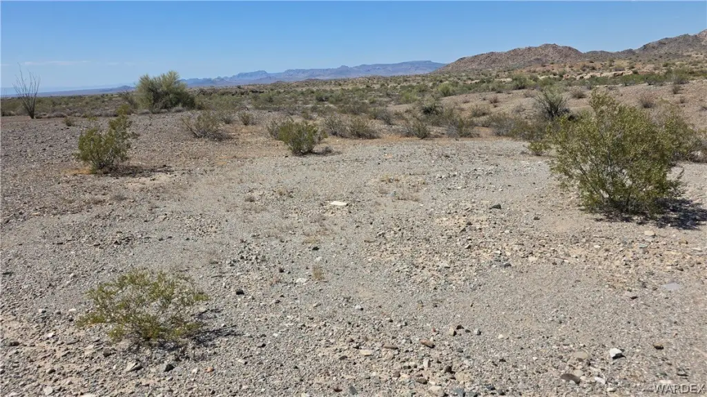 Picture 23