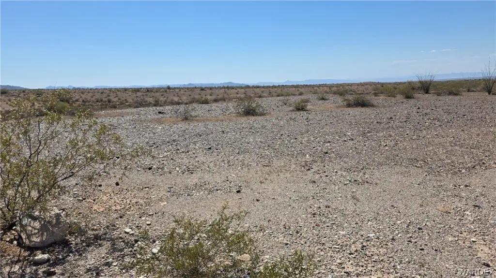 Picture 25