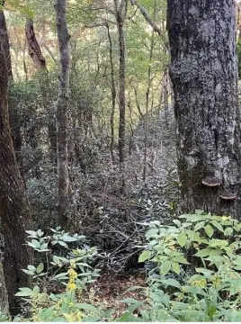 Sky Valley Vacant Lot