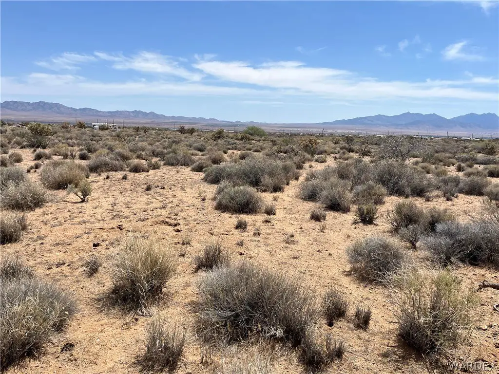 Picture 5