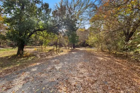 Wooded Land in Pecan Acres