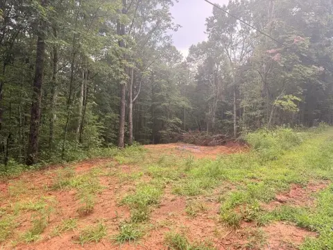 Ellijay, GA Vacant Homesite