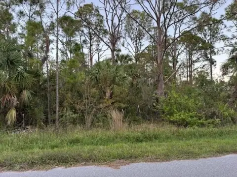 Vacant Land in Port Charlotte