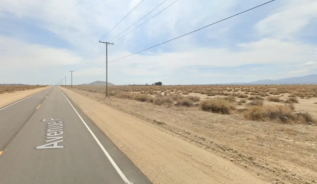 Picture 12