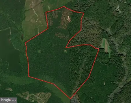 Managed Forest Land