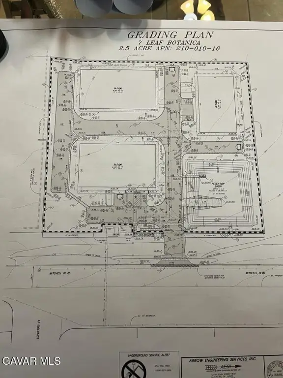 Picture 5