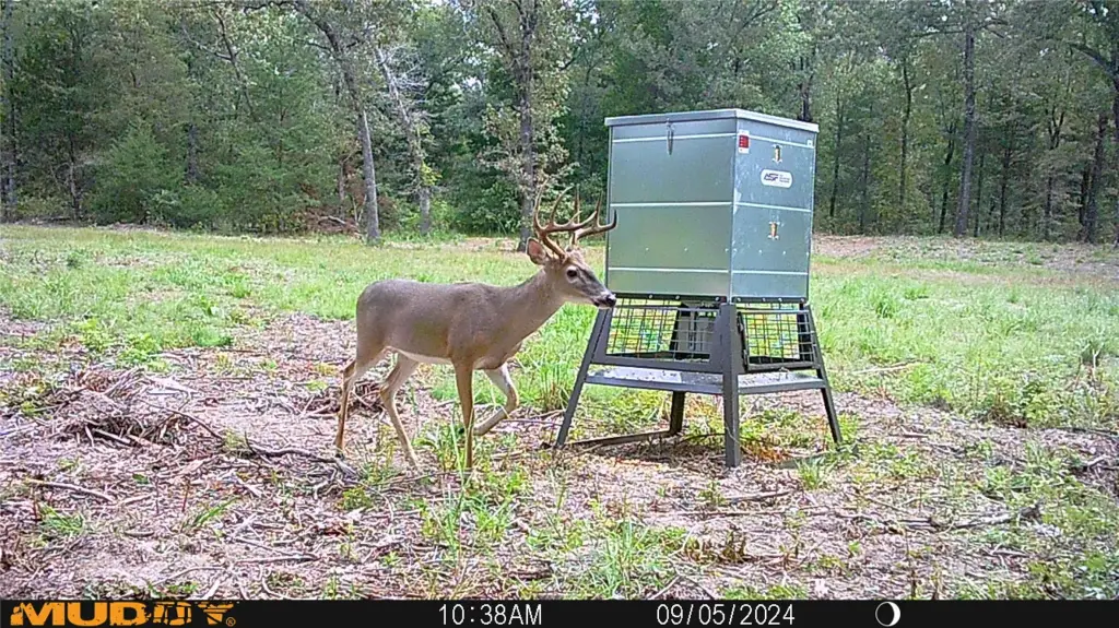 Picture 4