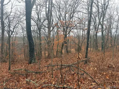 Land for Hunting or Building