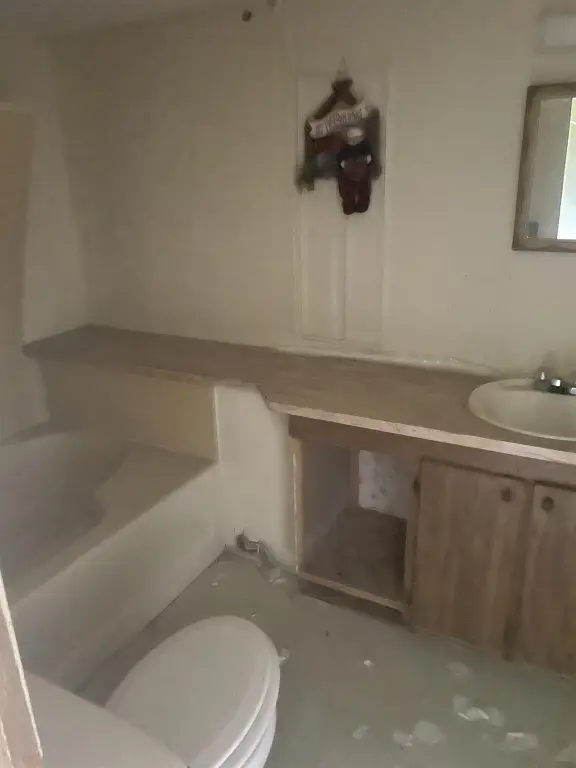 Picture 5