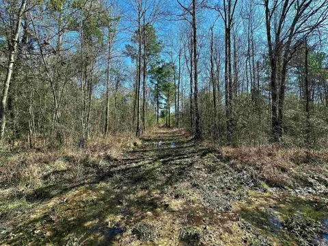 19.48 Acres on Stella Lane