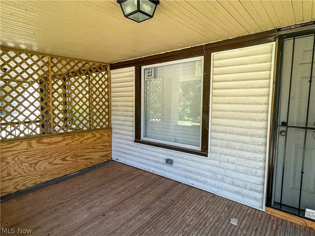 Picture 5