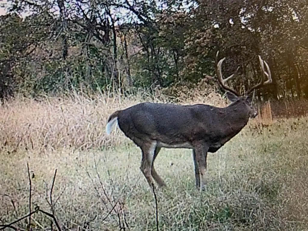 Picture 5
