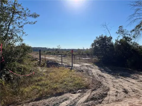 280+ Acre Hunting Land Tract