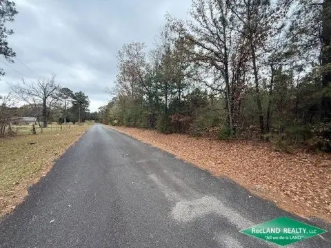 Pine Plantation Land For Sale