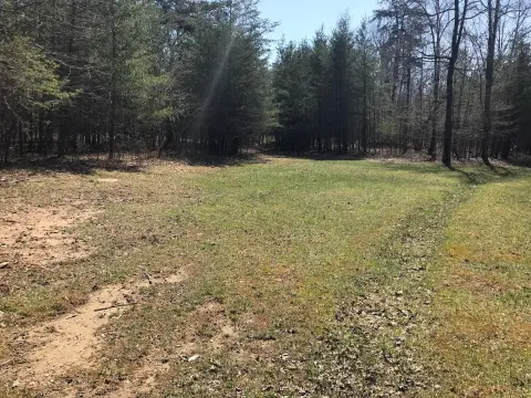 Dunlap, TN Wooded Lot
