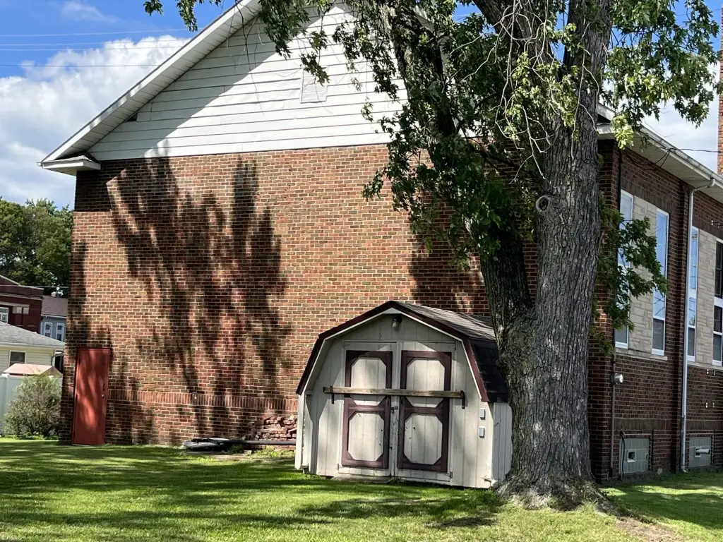 Picture 29