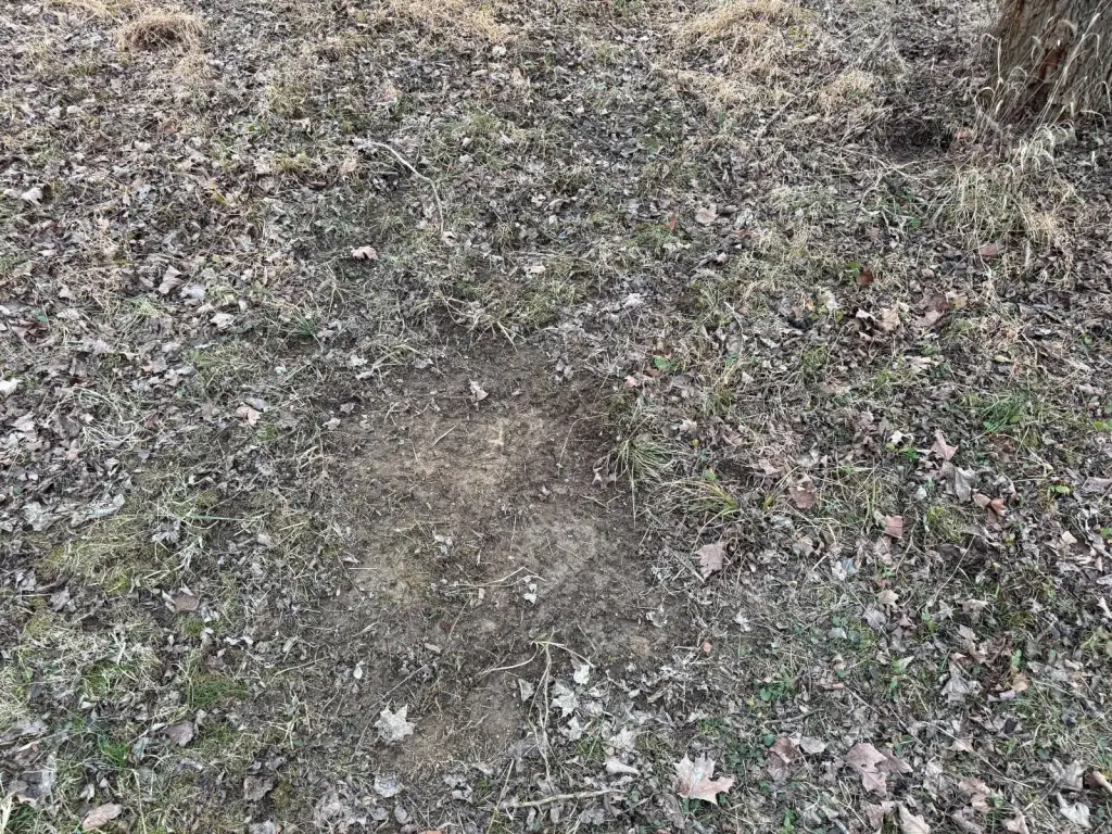 Picture 15