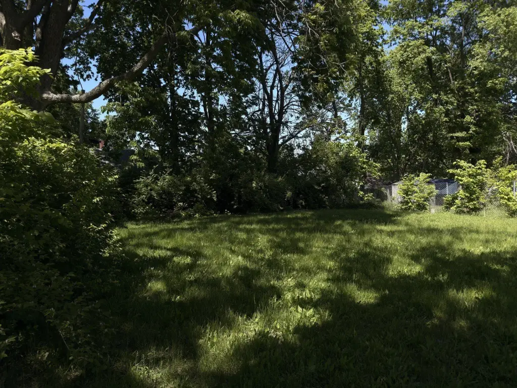 Picture 5